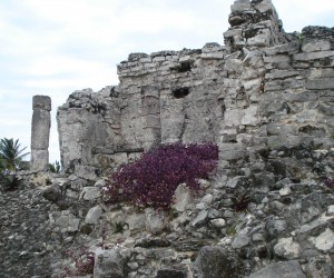 Mexico – Tulum Ruins