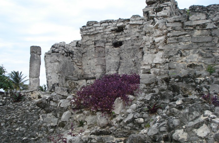 Mexico – Tulum Ruins