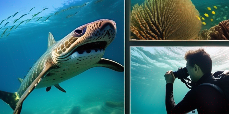 Underwater Photography Safari: Capturing Marine Life Wonders