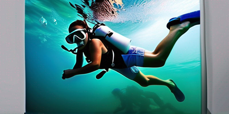 Underwater Photography Safari: Capture the Vibrant Marine World