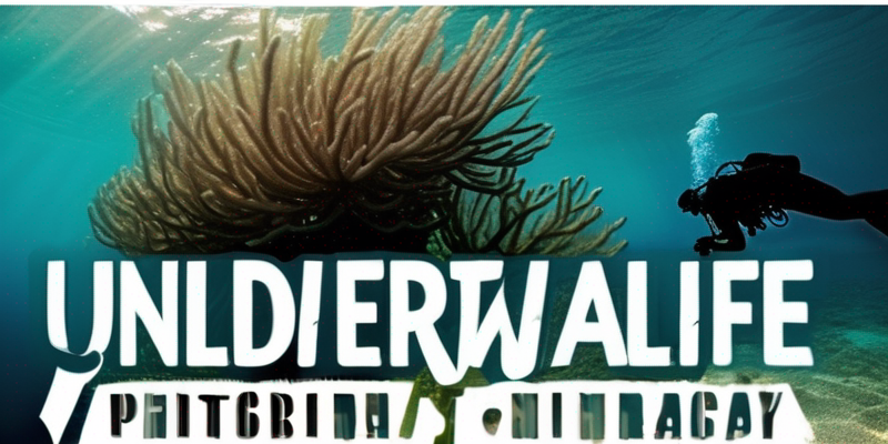 Underwater Photography Safari: Capturing Marine Life Wonders