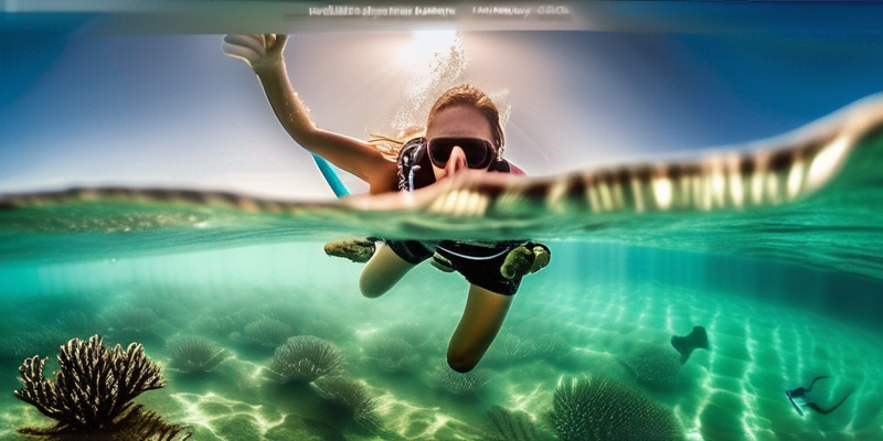 Underwater Photography Safari: Capturing Marine Life in its Natural Habitat