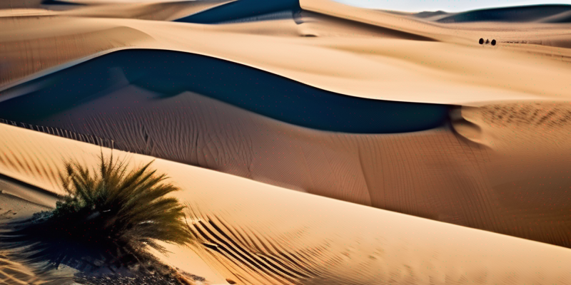 Desert Safari and Dune Bashing Adventure