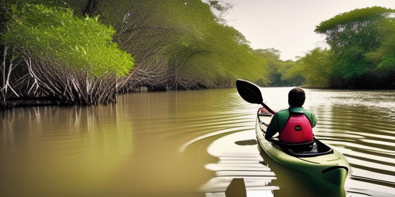 Kayaking Through Ancient Mangrove Forests