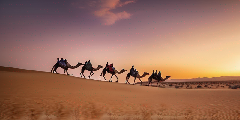 Sunset Desert Camel Safari: Bedouin Experience