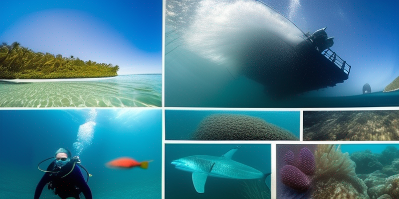 Underwater Photography Expedition: Capturing Marine Life Magic