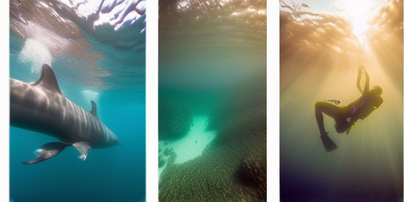 Underwater Photography Expedition: Capturing the Ocean's Wonders