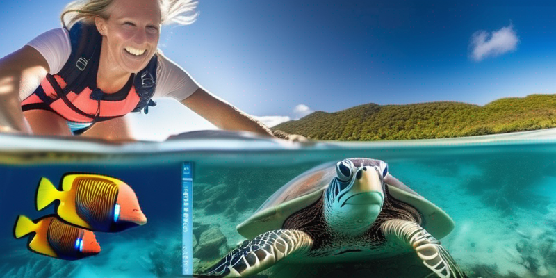 Underwater Photography Safari: Capturing Marine Life in Vibrant Color